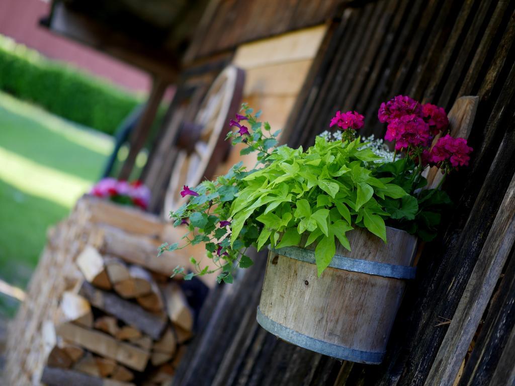 Apparthotel Ederfeld Mayrhofen Exteriér fotografie